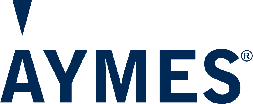 Building Future Brands 2 aymes logo